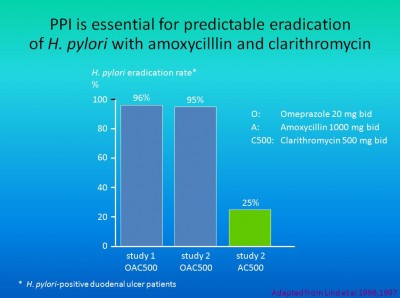This slide shows the results of two large studies performed internationally, (originall called “Mach 1” and “Mach 2”).  These studies show the cure rate of H. pylori treated with various combinations.  First notice the green bar – this was a group of subjects given amoxycillin with clarithromycin.  They were not given omeprazole.  The cure rate for the H. pylori was only 25%.  In the other two bars from the Mach 1 and Mach 2 study, omeprazole was given in an addition to the two antibiotics.  You can see that the cure rate of H. pylori rose up into the 90s.  Thus, the stomach has to be rendered achlorhydric before ordinary antibiotics such as amoxycillin and clarithromycin can have an eradicative effect on H. pylori.  Note that ulcers heal provided H. pylori has been eradicated.  As an extra benefit, these patients are receiving strong acid reduction therapy.