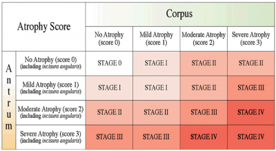 OLGA-staging-system-of-gastric-cancer-risk.png